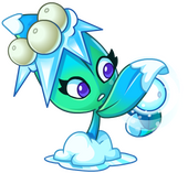 Cold but sweetable plant~!